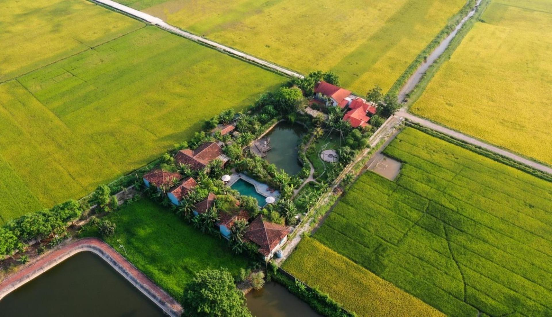 Chezcao Rice Field Ecolodge Ninh Binh Dış mekan fotoğraf