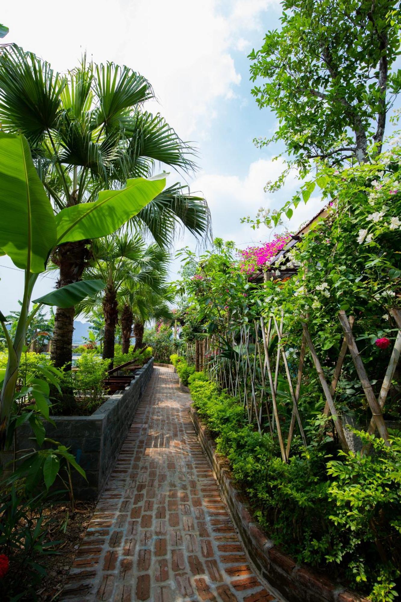 Chezcao Rice Field Ecolodge Ninh Binh Dış mekan fotoğraf